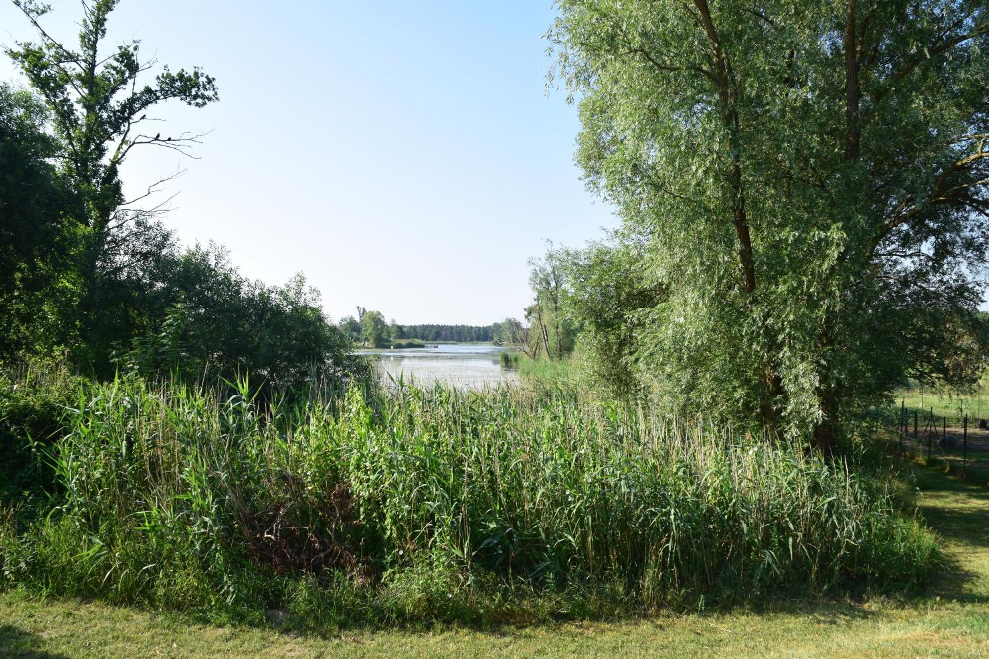 Land-Gut-Hotel Seeblick Klietz Zewnętrze zdjęcie